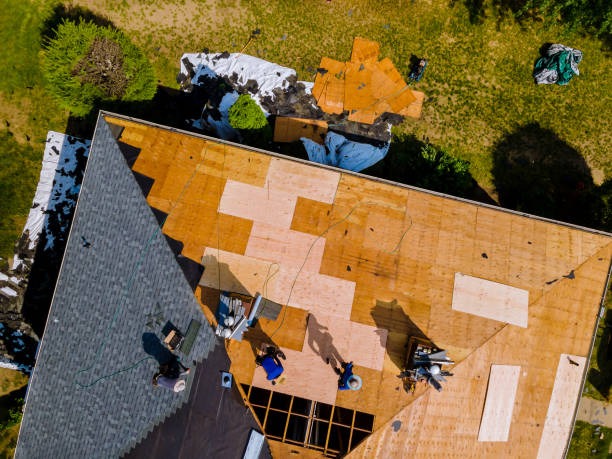 Best Storm Damage Roof Repair  in Ann Arbor, MI