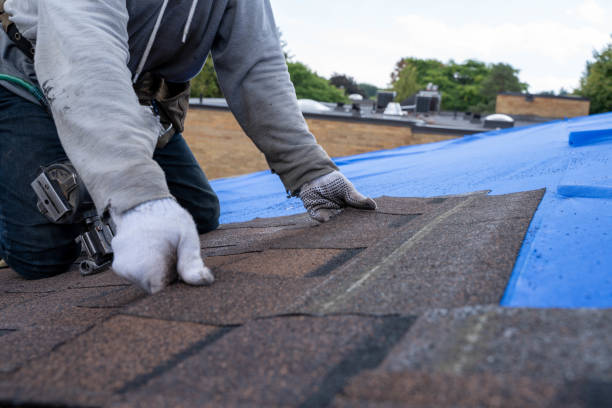 Sealant for Roof in Ann Arbor, MI