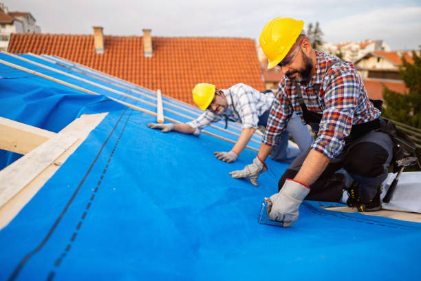 Professional Roofing Contractor in Ann Arbor, MI
