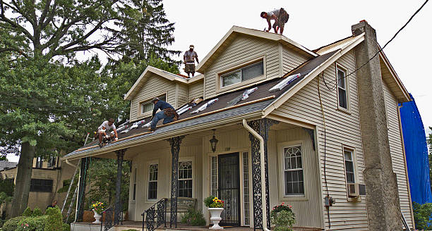 Best Gutter Installation and Roofing  in Ann Arbor, MI